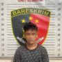 Terungkap! Komplotan Perampok di Jalan Poros PT WPG, Satu Tersangka Menyerahkan Diri