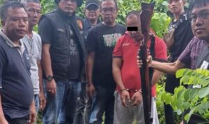 Tim Gabungan Polda Sumsel Bekuk Ayah dan Anak Pelaku Pembunuhan di Kebun Sawit Tim Gabungan Polda Sumsel Bekuk Ayah dan Anak Pelaku Pembunuhan di Kebun Sawit