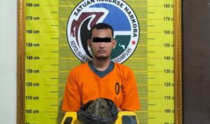 Transaksi Ganja Gagal! Pemuda di Padangsidimpuan Dibekuk Polisi dengan Barang Bukti 100 Gram